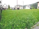 富山県魚津市の競売物件 98万円 土地 222m&sup2;