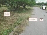 山梨県南アルプス市の競売物件 55万円 農地 531m&sup2;