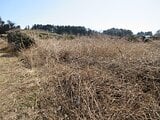 茨城県かすみがうら市の国税庁公売物件 32万円 農地 760m&sup2;