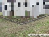 神奈川県平塚市の国税庁公売物件 10万円 農地 80m&sup2;