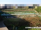 神奈川県三浦市の国税庁公売物件 870万円 農地 3,114m&sup2;