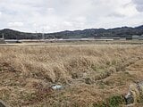 愛媛県今治市の国税庁公売物件 19万円 農地 386m&sup2;