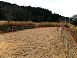 静岡県賀茂郡西伊豆町の国有財産売却物件 33万円 農地 741m&sup2;