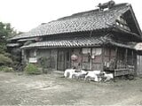 山形県東田川郡庄内町の競売物件 52万円 戸建て 225m&sup2;