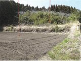 鹿児島県志布志市の競売物件 59万円 農地 3,415m&sup2;