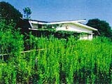 千葉県鴨川市の競売物件 604万円 戸建て 399m&sup2;