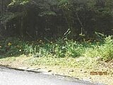 静岡県伊東市の競売物件 292万円 土地 12,357m&sup2;