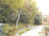 静岡県伊東市の競売物件 11万円 土地 198m&sup2;