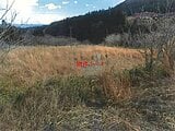岩手県大船渡市の競売物件 78万円 土地 3,086m&sup2;
