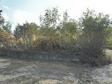 新潟県小千谷市の競売物件 462万円 土地 1,223m&sup2;