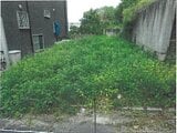 大阪府柏原市の競売物件 81万円 土地 67m&sup2;