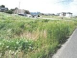 香川県丸亀市の競売物件 13万円 農地 246m&sup2;