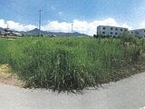 香川県丸亀市の競売物件 14万円 農地 278m&sup2;