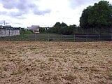 東京都町田市の国有財産売却物件 587万円 農地 299m&sup2;