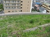 神奈川県川崎市多摩区の国有財産売却物件 1億6,800万円 土地 4,801m&sup2;