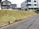 埼玉県川口市の国有財産売却物件 7,280万円 農地 376m&sup2;