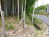 栃木県宇都宮市の国有財産売却物件 111万円 土地 436m&sup2;