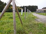 栃木県日光市の国有財産売却物件 406万円 農地 1,896m&sup2;
