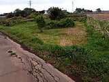 茨城県下妻市の国有財産売却物件 4万円 農地 810m&sup2;