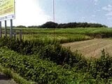 愛知県豊橋市の競売物件 102万円 農地 611m&sup2;