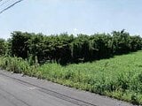 愛知県豊橋市の競売物件 104万円 農地 821m&sup2;