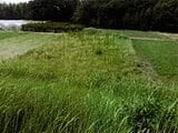 愛知県豊橋市の競売物件 40万円 農地 540m&sup2;