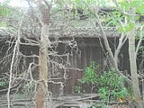 奈良県御所市の競売物件 89万円 戸建て 89m&sup2;