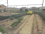奈良県磯城郡三宅町の競売物件 230万円 農地 1,246m&sup2;