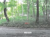 栃木県那須郡那須町の競売物件 48万円 土地 429m&sup2;
