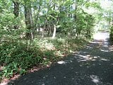 山梨県南都留郡鳴沢村の官公庁公売物件 108万円 土地 265m&sup2;