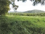 滋賀県高島市の競売物件 31万円 農地 2,801m&sup2;
