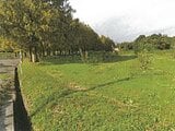 滋賀県高島市の競売物件 23万円 農地 2,282m&sup2;