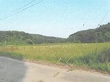 茨城県行方市の競売物件 128万円 農地 5,110m&sup2;