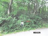 栃木県那須郡那須町の競売物件 18万円 土地 300m&sup2;