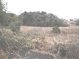 茨城県かすみがうら市の競売物件 320万円 農地 8,078m&sup2;