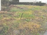 徳島県鳴門市の競売物件 63万円 土地 241m&sup2;