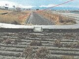 徳島県板野郡松茂町の競売物件 267万円 農地 1,743m&sup2;
