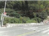 福岡県太宰府市の競売物件 1,159万円 土地 2,443m&sup2;