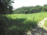 静岡県富士宮市の競売物件 50万円 農地 2,837m&sup2;
