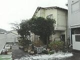 新潟県村上市の競売物件 502万円 戸建て 187m&sup2;