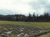 新潟県長岡市の競売物件 111万円 土地 6,203m&sup2;
