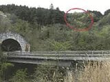 山梨県南巨摩郡身延町の競売物件 16万円 土地 19,610m&sup2;