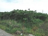 岐阜県岐阜市の競売物件 266万円 土地 2,217m&sup2;
