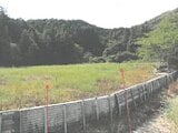 岐阜県岐阜市の競売物件 145万円 農地 3,972m&sup2;