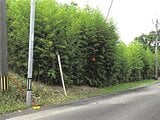 鹿児島県志布志市の競売物件 213万円 土地 1,238m&sup2;