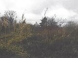 北海道茅部郡森町の競売物件 5万円 土地 202m&sup2;