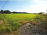 青森県上北郡東北町の競売物件 304万円 農地 25,846m&sup2;