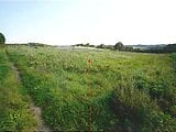青森県上北郡東北町の競売物件 175万円 農地 15,641m&sup2;
