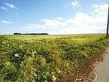 青森県上北郡東北町の競売物件 172万円 農地 14,642m&sup2;