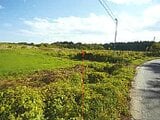 青森県上北郡東北町の競売物件 261万円 農地 22,157m&sup2;